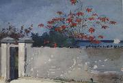 Winslow Homer A Wall,Nassau (mk44) oil on canvas